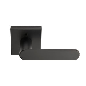 SOUTHLAKE PRIVACY LEVER