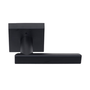 SANTA CRUZ PRIVACY LEVER