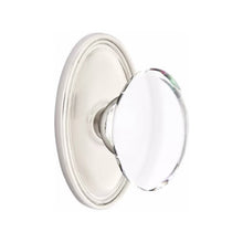 Load image into Gallery viewer, HAMPTON GLASS (HT) DUMMY (PAIR) KNOB WITH TRADITIONAL ROSETTE
